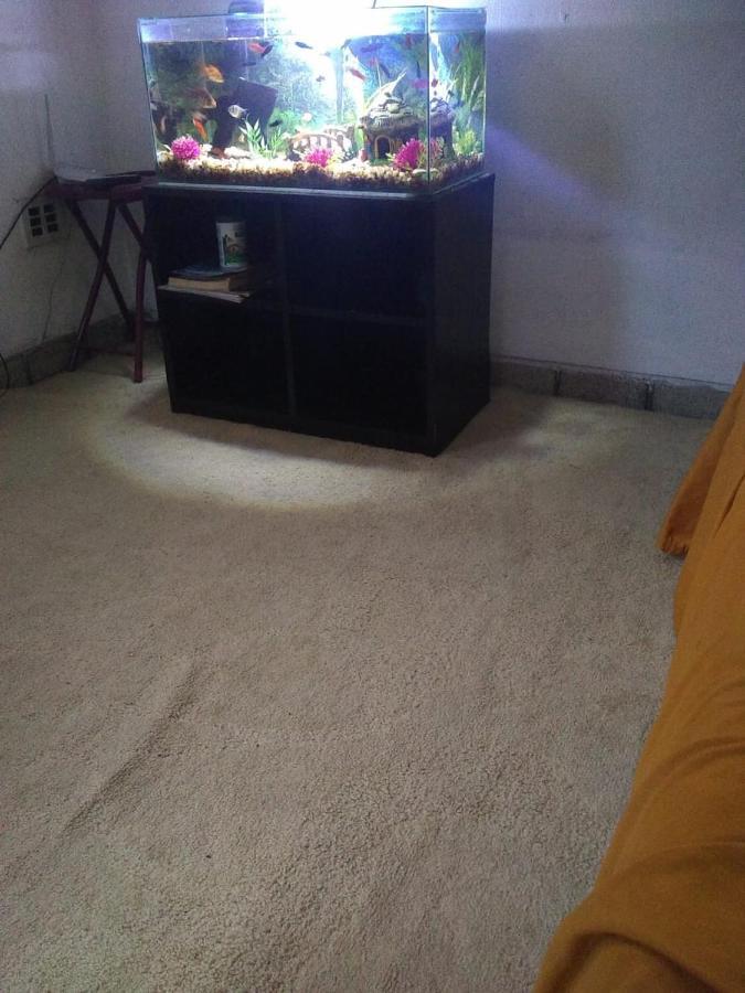 Pousada Nery Salvador Luaran gambar